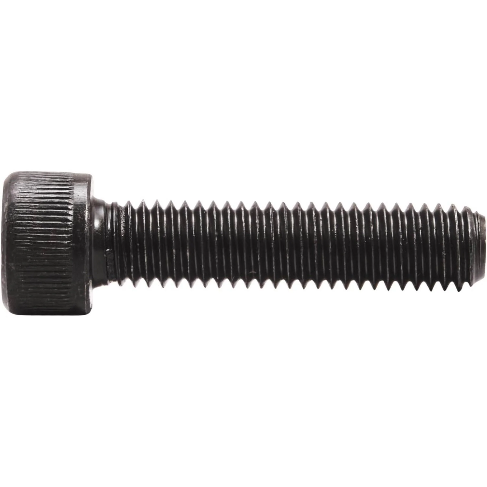 Striker M8 Bolt -